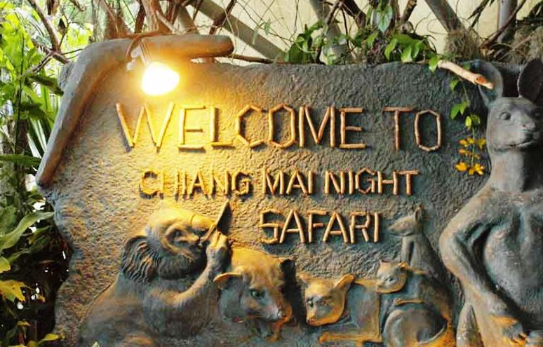 צ'יאנג מאי Chiangmai Night Safari Resort מראה חיצוני תמונה